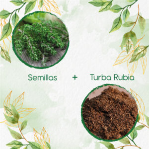Kits De Siembra Para Tomillo