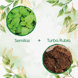 Kits De Siembra Para Toronjil