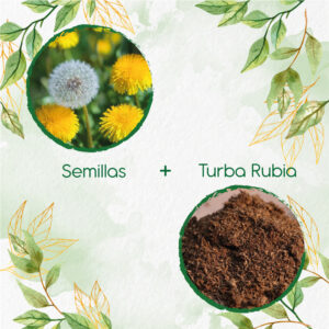 Kits De Siembra Para Diente De León