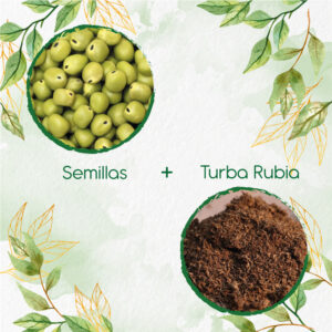 Kits De Siembra Para Arveja Pequinegra