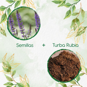 Kits De Siembra Para Chía