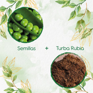 Kits De Siembra Para Guisante