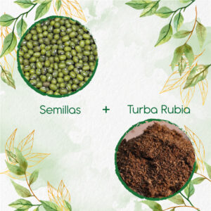 Kits De Siembra Para Frijol Mungo