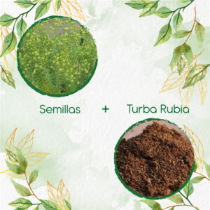 Kits De Siembra Para Linaza