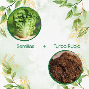 Kits De Siembra Para Cogollo Europeo