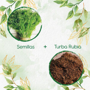 Kits De Siembra Para Eneldo