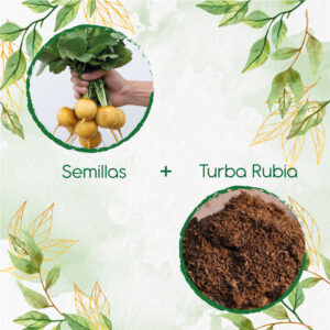 Kits De Siembra Para Rábano Horus Amarillo