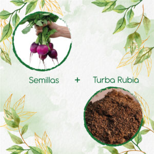 Kits De Siembra Para Rábano Bacchus Morado