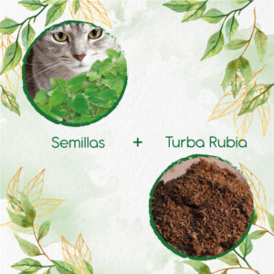 Kits De Siembra Para Menta Para Gato