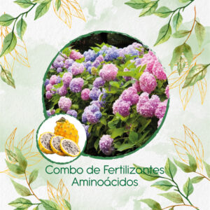 Kits De Fertilizantes Para Pitahaya Amarilla