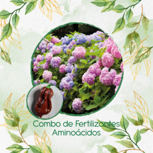 Kits De Fertilizantes Para Ají Habanero Chocolate