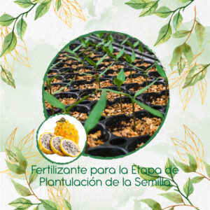 Fertilizantes Individuales Para Pitahaya Amarilla