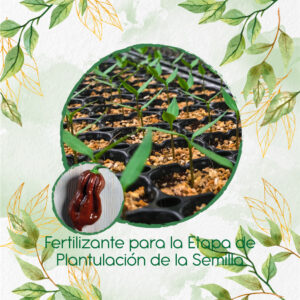 Fertilizantes Individuales Para Ají Habanero Chocolate