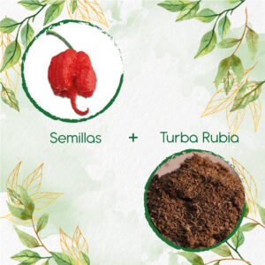 Kits De Siembra Para Ají Carolina Reaper