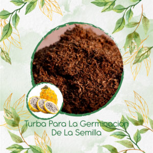 Sustratos Para Pitahaya Amarilla