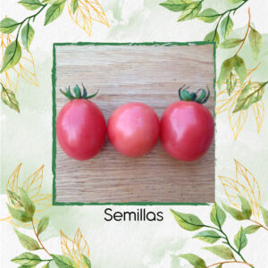 Semillas Orgánicas De Tomate Cherry Rosado