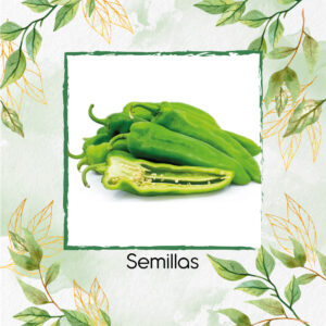 Semillas Orgánicas De Ají Anaheim