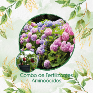 Kits De Fertilizantes Para Ají Roccoto