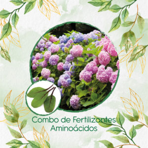 Kits De Fertilizantes Para Acelga Scarlett