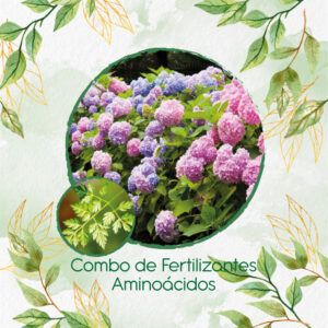 Kits De Fertilizantes Para Perifolio