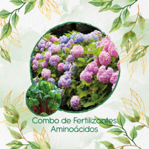 Kits De Fertilizantes Para Ruibarbo