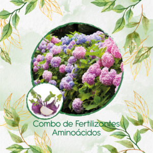 Kits De Fertilizantes Para Colinabo Violeta