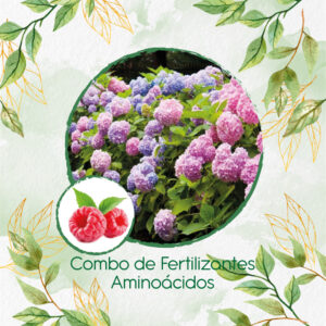Kits De Fertilizantes Para Frambuesa