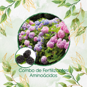 Kits De Fertilizantes Para Zarzamora