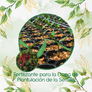 Fertilizantes Individuales Para Ají De Árbol