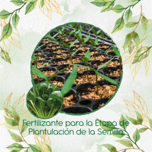 Fertilizantes Individuales Para Tatsoi Verde