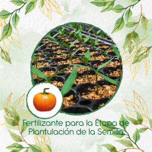 Fertilizantes Individuales Para Pimentón Cherry Naranja