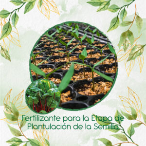 Fertilizantes Individuales Para Ruibarbo