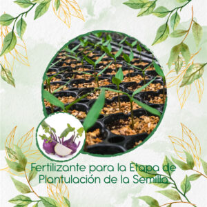 Fertilizantes Individuales Para Colinabo Violeta