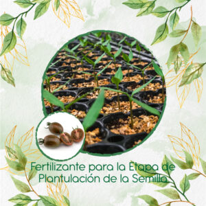 Fertilizantes Individuales Para Tomate Cherry Zebra