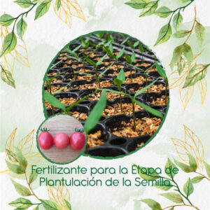 Fertilizantes Individuales Para Tomate Cherry Rosado
