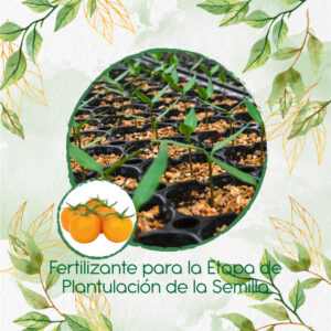 Fertilizantes Individuales Para Tomate Cherry Dorado