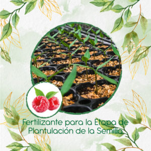 Fertilizantes Individuales Para Frambuesa