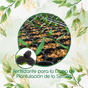 Fertilizantes Individuales Para Zarzamora