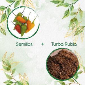 Kits De Siembra Para Ají Topito