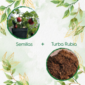 Kits De Siembra Para Ají Roccoto