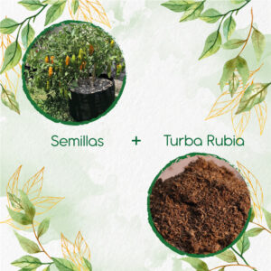 Kits De Siembra Para Ají Peruano