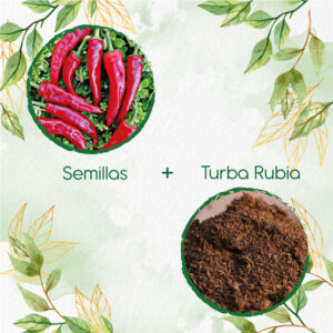 Kits De Siembra Para Ají Cacho