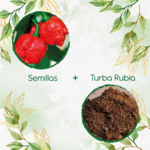 Kits De Siembra Para Ají Escorpión