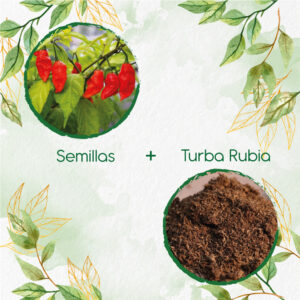 Kits De Siembra Para Ají Ghost