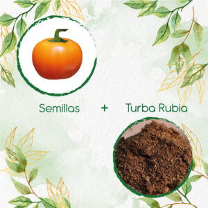 Kits De Siembra Para Pimentón Cherry Naranja