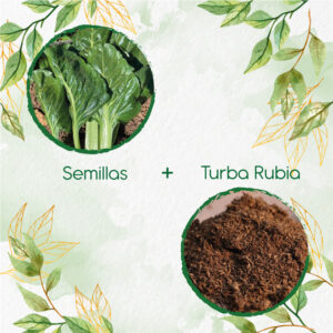 Kits De Siembra Para Acelga Prius