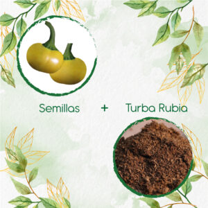 Kits De Siembra Para Pimentón Cherry Amarillo