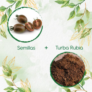 Kits De Siembra Para Tomate Cherry Zebra