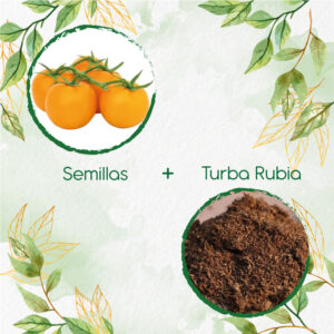 Kits De Siembra Para Tomate Cherry Dorado