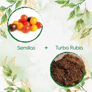 Kits De Siembra Para Tomate Cherry Colores